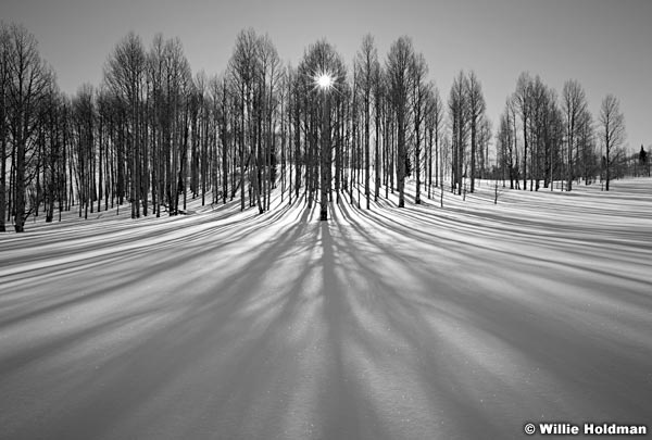 Aspensunmeadow012011 920BW