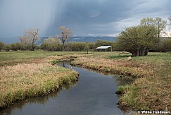 Storm Stream Pasture 050320 1535 3