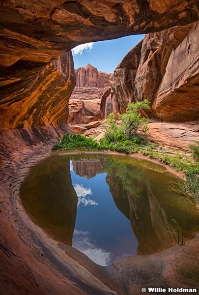 Escalante Waterhole 051623 8184