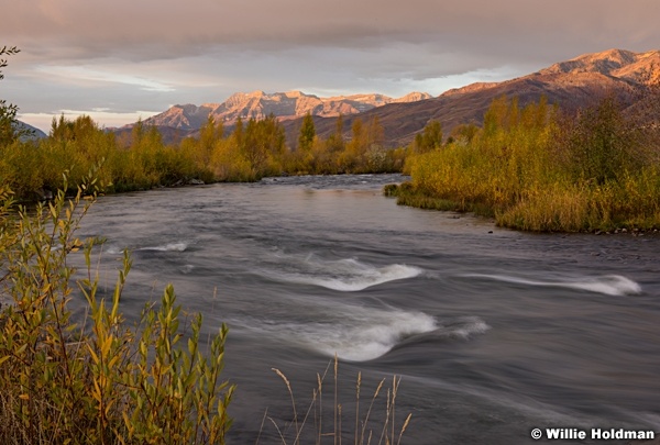 Provo River Timp 101116 3371 3