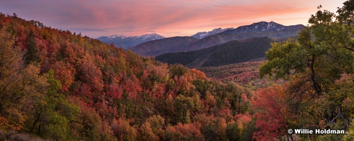 Wasatch Color Sunset