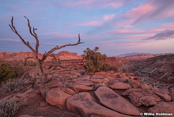 Capitol Reef Sunset 111820 218