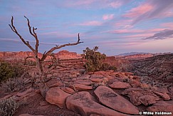 Capitol Reef Sunset 111820 218