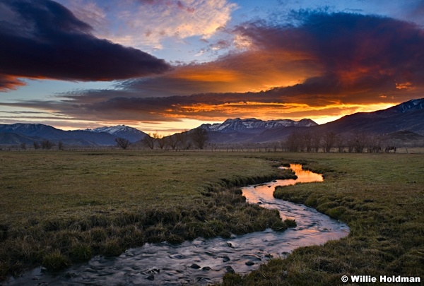 Meandering Stream Timpanogos 111517 8743