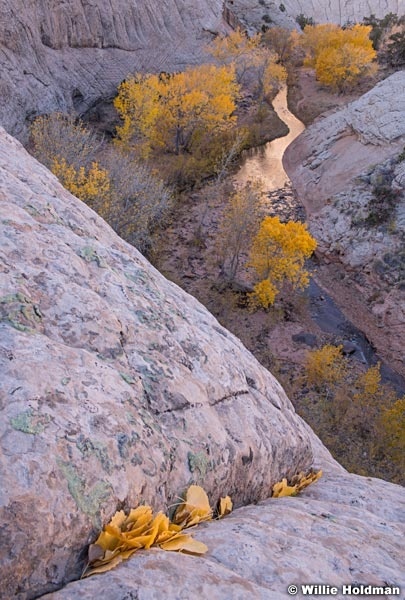 Pleasant Creek Capitol Reef 102819 3350 2 3