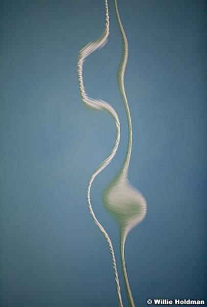 Westcanyonslot081711 1917