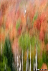 Abstractfallcolors092210 2419