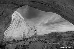 angelarchBW 5690