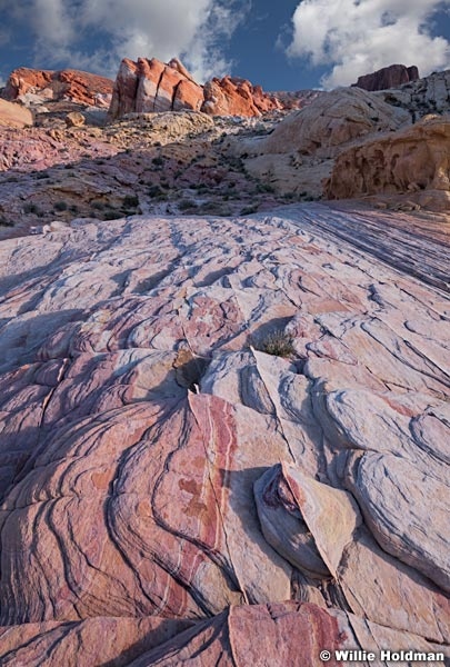 Valley of Fire Sandstone 041118 2388