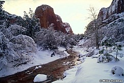 Kolobwinter