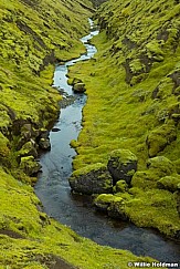 Green Moos Stream Iceland 090822 2348