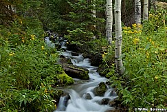 Bigcottonwoodvreek3vert 13