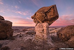 Rim Rocks Sandstone 020215 7453