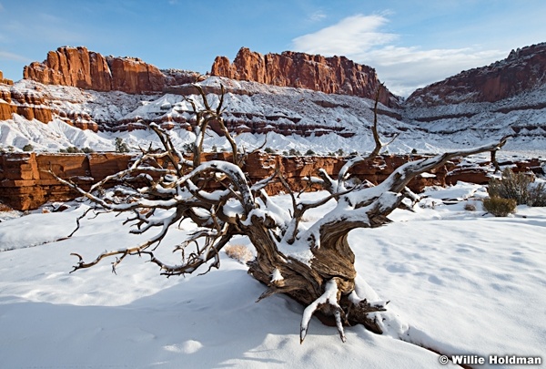Capitol Reef Snowy 0100424 1520