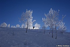 12180642
