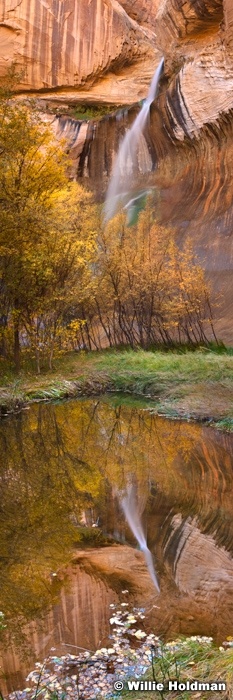 Calfcreekvertpan101609
