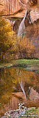 Calfcreekvertpan101609