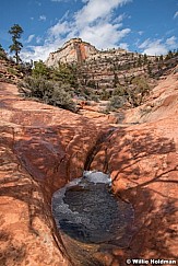 Side Canyon Waterhole Zion 031420 4512