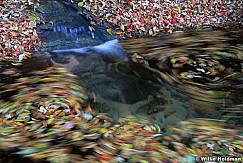 217000007920