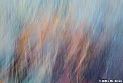 Abstractimpressions101510 5178