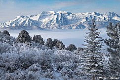 Timpanogos Frosty Fog 120722 9057