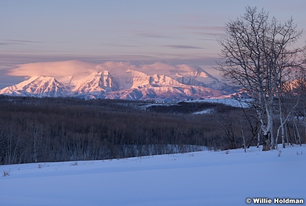 Timpanogos Wolf Creek 021414