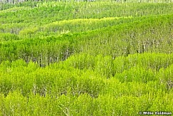 080707 1344
