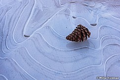 Pine Cone Ice 021316 3257