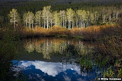 Beaver Pond Reflection 053013 6591