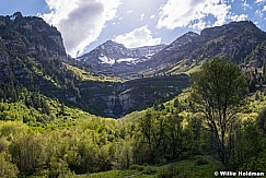 Timpanogos Spring GreensF051518 1513