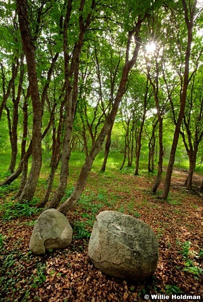 Two Boulders 475 061312