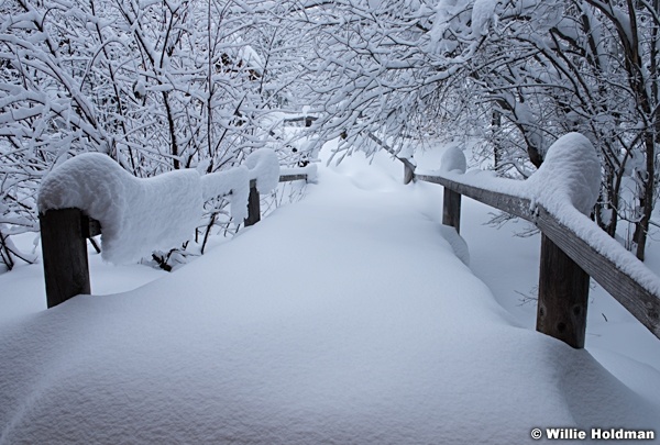 Sundance Big Snow 010517 8808 5