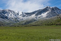 South Fork Spring Snow 051717 8850