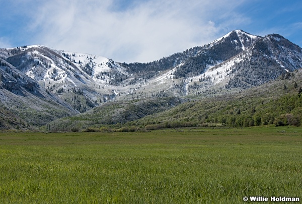 South Fork Spring Snow 051717 8850