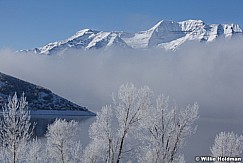 Frosty Trees Timp 122012 376