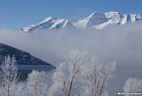 Frosty Trees Timp 122012 376