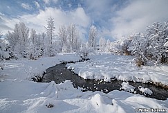 Snowy Stream North Fields 013020 0940 4