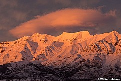 Timpanogos Yellow Sunset 012019 5x7