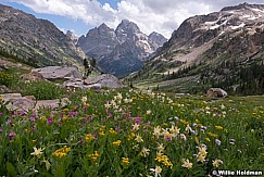 Cascade Mountain Wildfowers 082019 2157 2