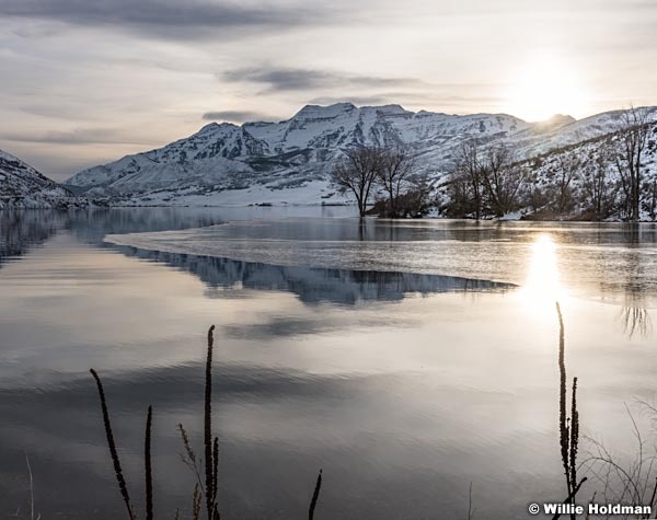 Timp Deer Creek Mono 030317