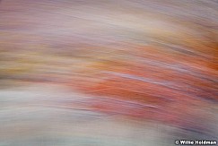Abstractimpressions101510 5304