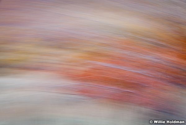 Abstractimpressions101510 5304