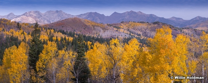 The Mighty Wasatch 101514