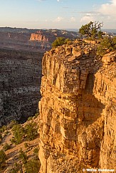Capitol Reef Miners Mountain 060825 0363 2