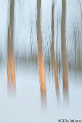 Aspenabstract120310 40