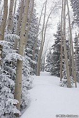 Deer Valley Frost 030813 00826