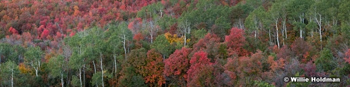 Autumnkalidiscope092111