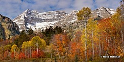 Timpanogosdust101211