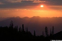 Wasatch Sunset With Pines 071326 5291