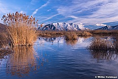 Maple Mountain Reflection 022114-8524